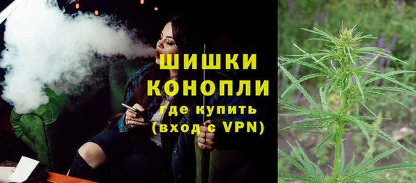 ешки Алзамай