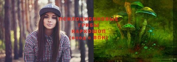 соль ск Абаза