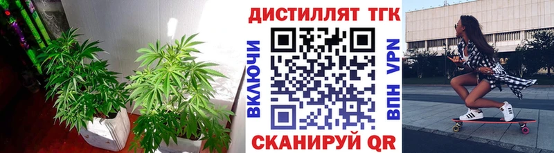 где можно купить   Исилькуль  ТГК Wax 