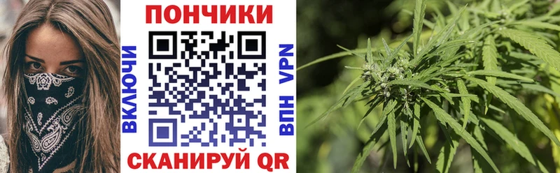 где купить наркоту  Исилькуль  Каннабис VHQ 